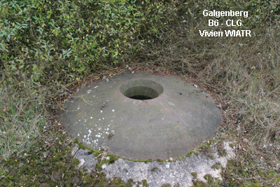 cloche_lg.jpg