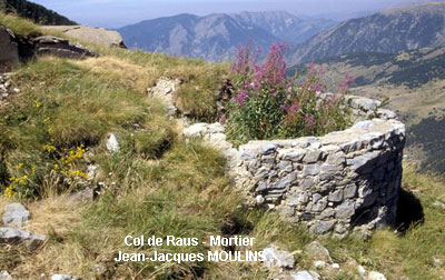 photos/raus_jjm_mortier.jpg